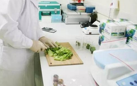 食品重金屬檢測儀，關注食品安全，防范重金屬危害